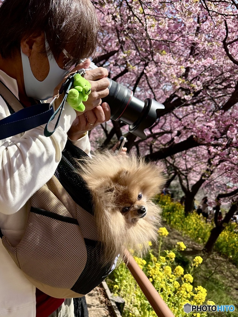 リュックイン チップぅ♬