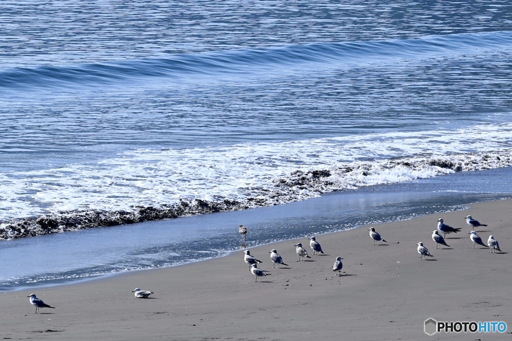 風は南西、海は凪て上げ潮
