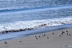 風は南西、海は凪て上げ潮