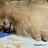 Wonderful moment ......幸せな眠り