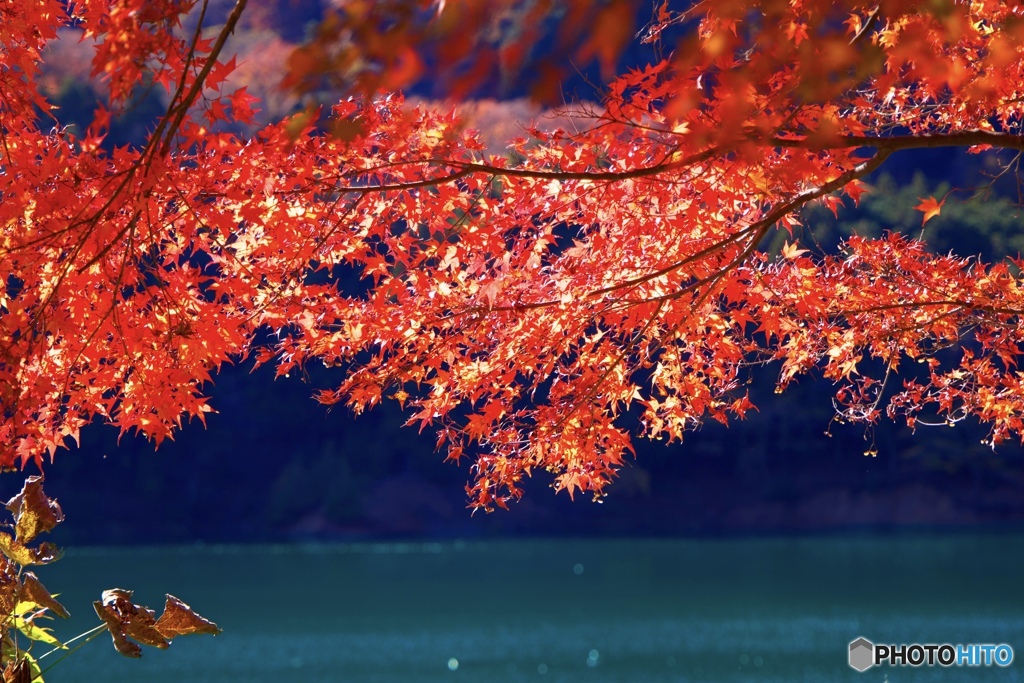 紅葉と青緑色の湖面