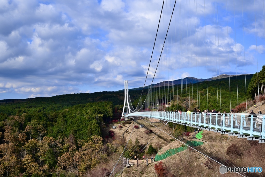 三島スカイウォーク