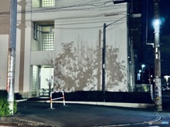 影絵が飾る街角