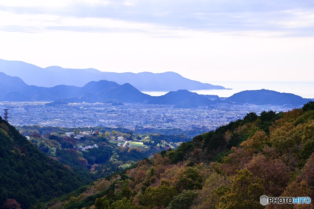 吊り橋の上から