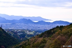 吊り橋の上から