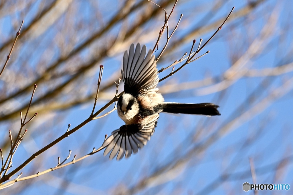 かわいいターン
