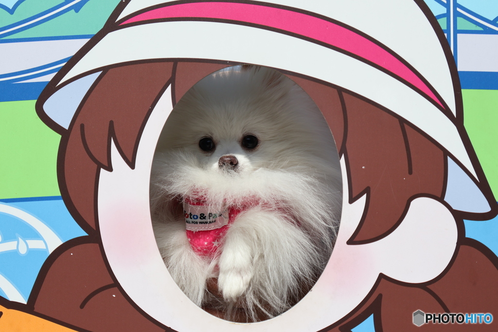 すみません、しょうもない投稿です