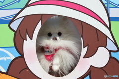 すみません、しょうもない投稿です