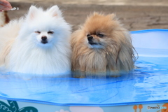 気持ちいいねー♬