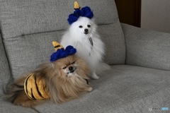 我が家の節分前夜祭