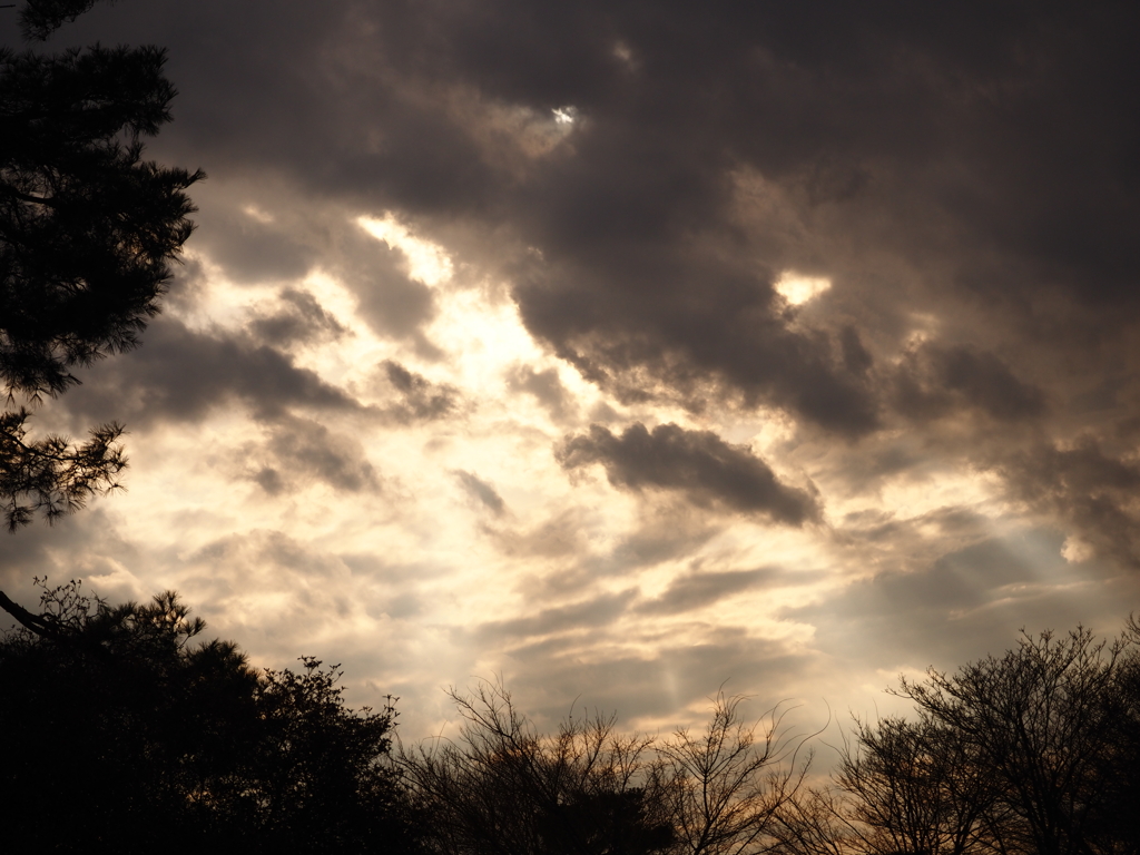 見上げた空