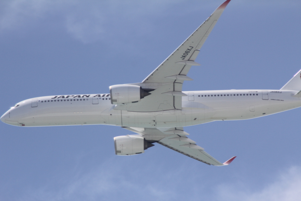 今日のA350