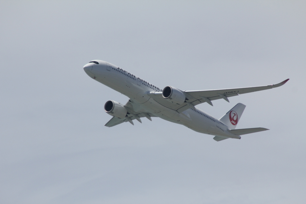 今日のA350②