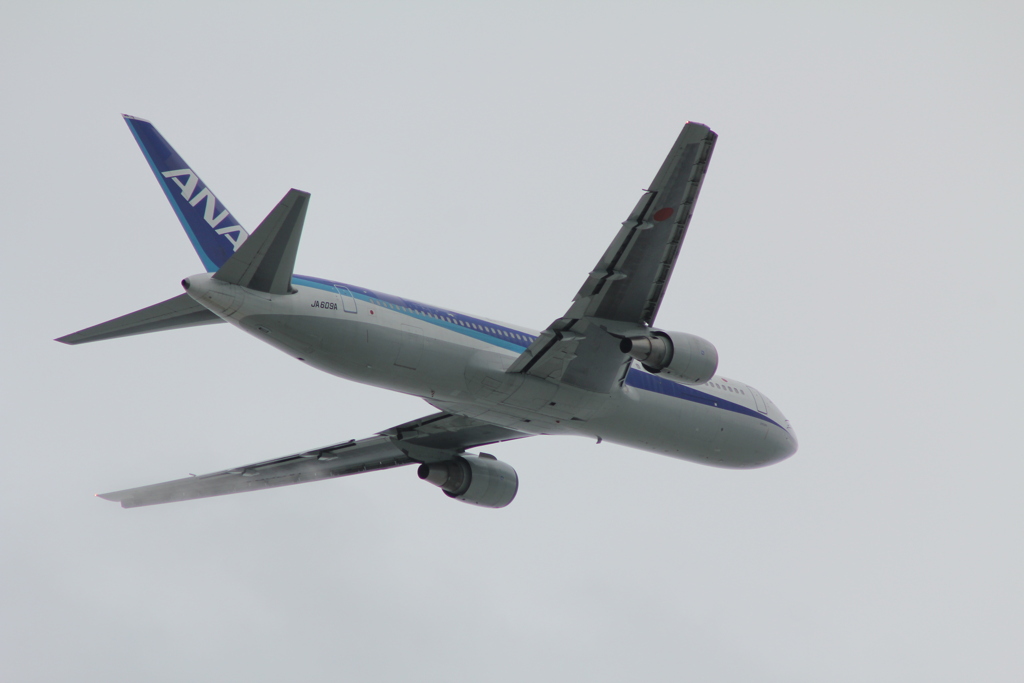 飛行機