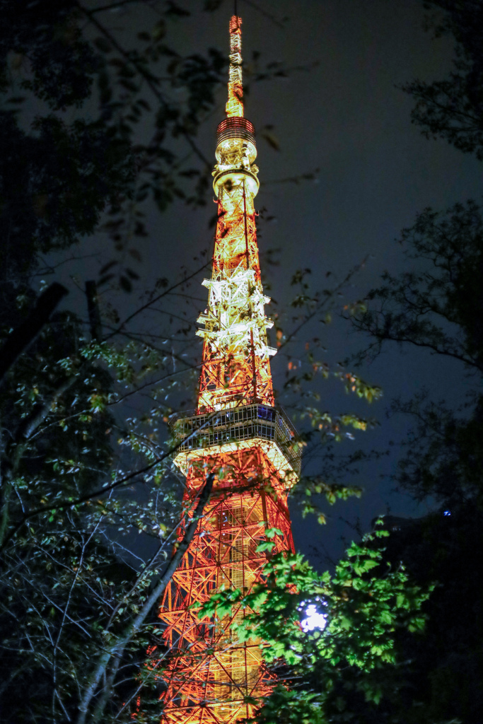 夜の東京タワー