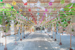 国魂神社 夏詣