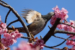 すごく身近で友達みたいなやつです