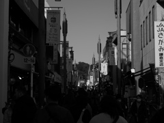 鎌倉#6
