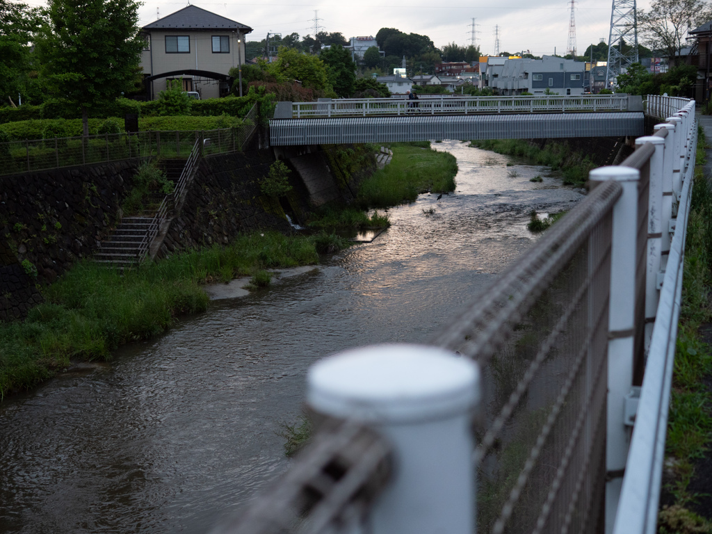 夕暮どき #1