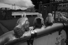 じっとみ鳥ます