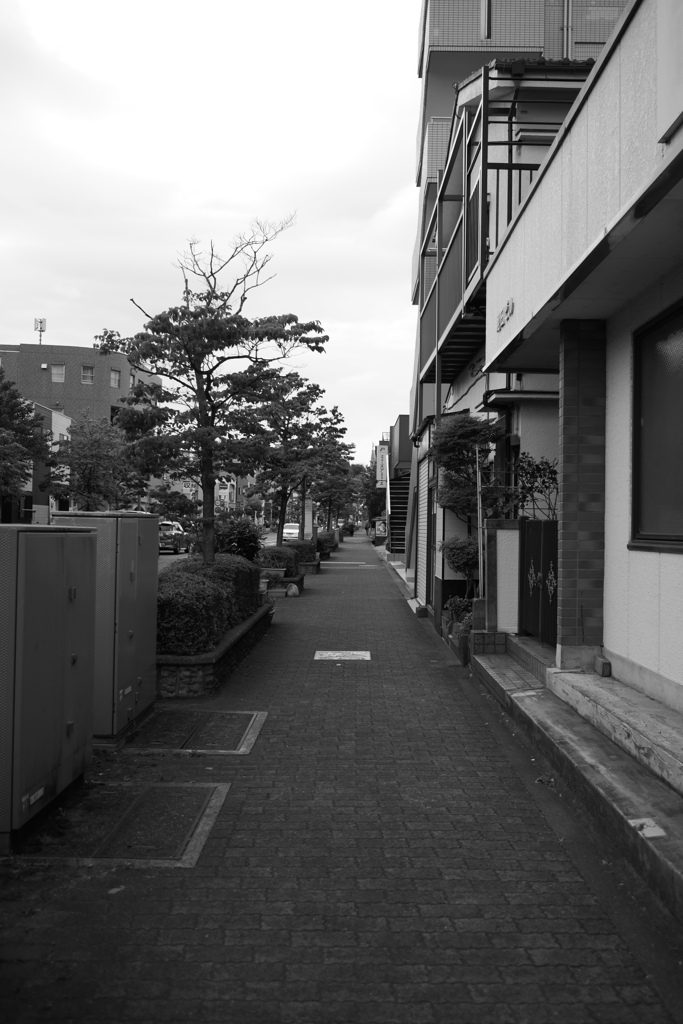 この道はいつか来た道