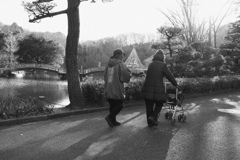 町田薬師池公園 #7