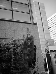 有給休暇 #1