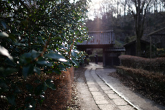 町田薬師池公園#1
