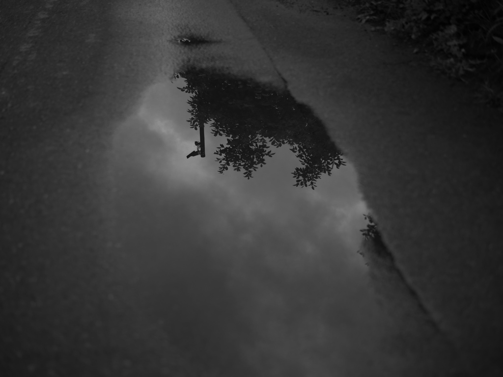雨上がり #1