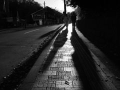 冬の散歩道#1