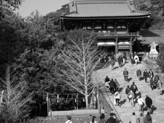 鎌倉#7