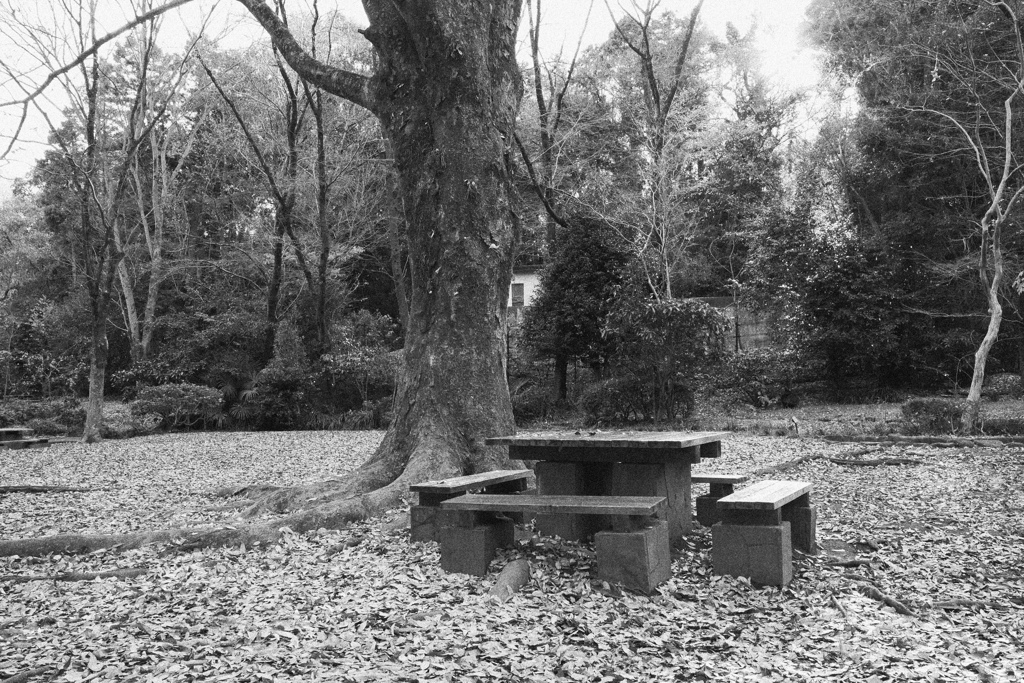 公園#2