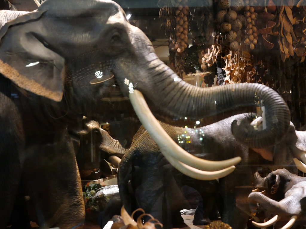 チャトゥチャク #7