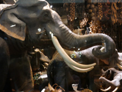 チャトゥチャク #7