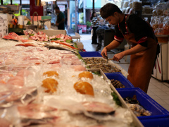 オートーコー市場 #18