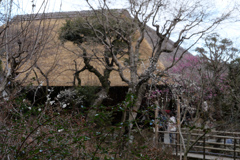 百草園　#10