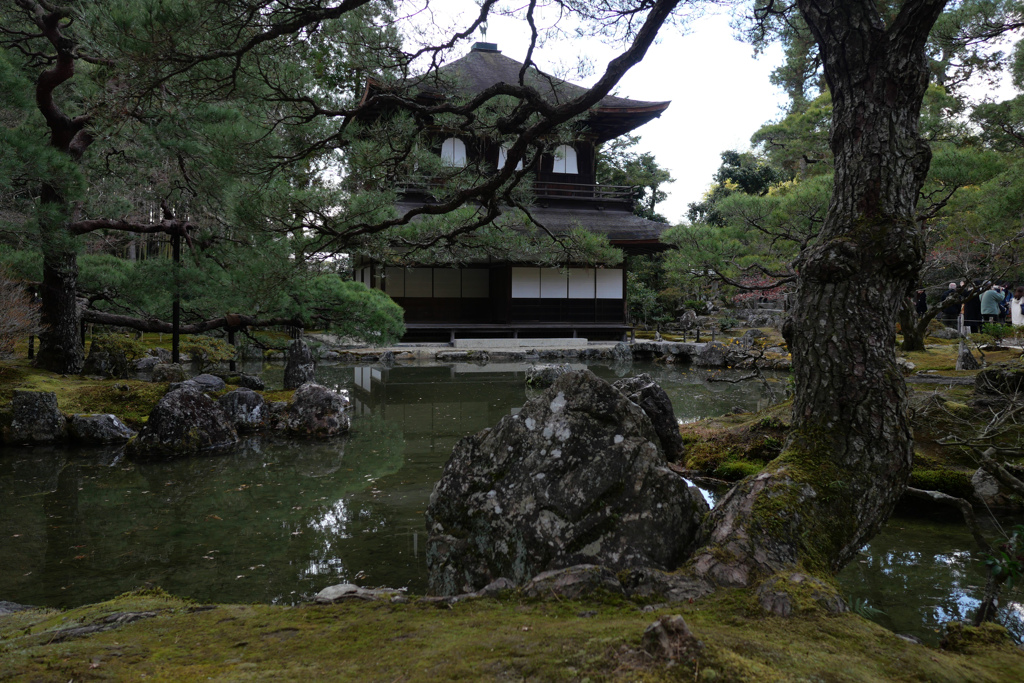 京都巡り#1