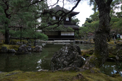 京都巡り#1
