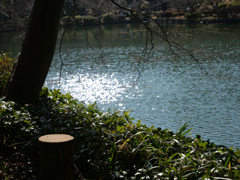 春の陽気