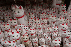 豪徳寺のまねきねこ