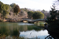 町田薬師池公園 #10