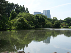 新宿御苑 #4