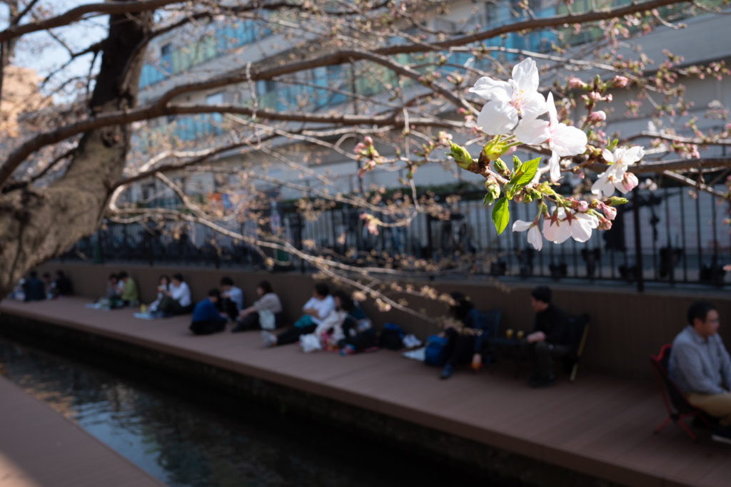 待ちきれない人々