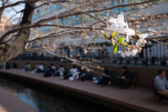 待ちきれない人々