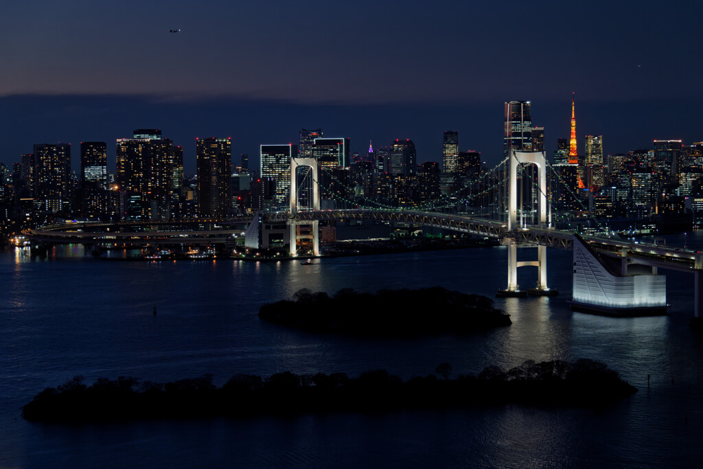 フジテレビ展望室「はちたま」からの夜景