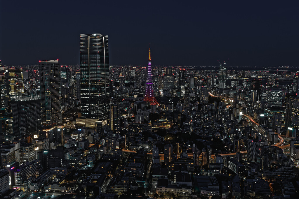 東京シティビューからの東京タワー夜景②