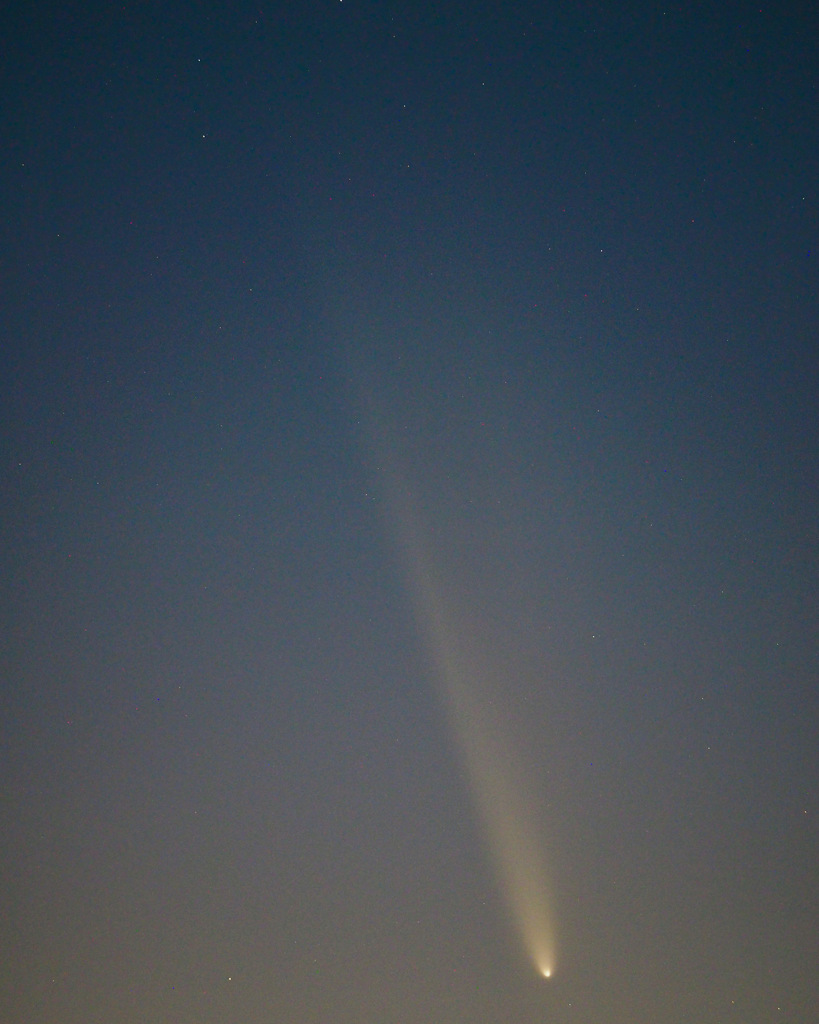 紫金山･アトラス彗星