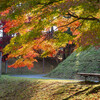 2024年紅葉1
