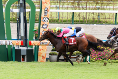 京都競馬場にて