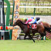 京都競馬場にて